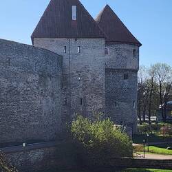 A section of the historic city walls and towers of Tallinn
