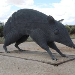 Bandicoot