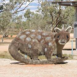 Spotted quoll
