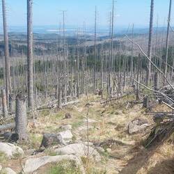 Höllenstieg! Hab ihn "grüner" in Erinnerung!