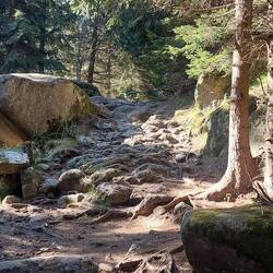Über Felsenpfade geht es weiter