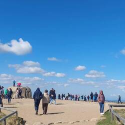 Es wird immer voller!