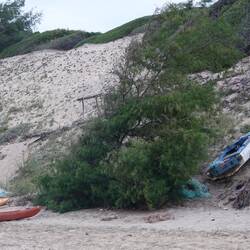 Die Kehrseite der Fischerei und des Hurrikans El Ninio