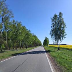 Drogi w okolicy Terespola