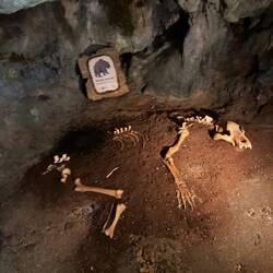 Bildnis vom Spiliski Medvjed