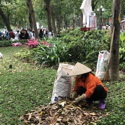 entretien des espaces verts