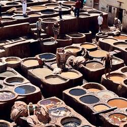 Die Gerber bei ihrer Arbeit