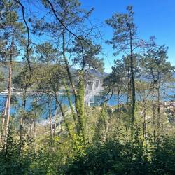 Pont suspendu