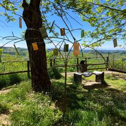 Hier neben der Chiess steht ein literarischer Baum