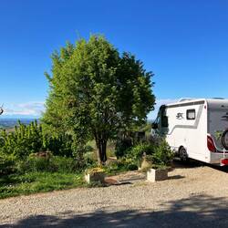 Eine Terrasse für fünf Womos auf dem Weigut