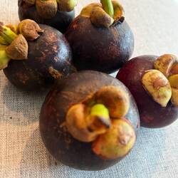Mangosteen