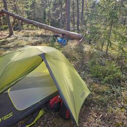 Mein Schlafplatz im Wald.