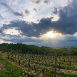 Es zieht glaub verbii🤭De Platz isch gratis, Strom 5€, mer gönd uf es🍷zum Apéro
