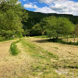 schöös Plätzli🤷🏻‍♂️