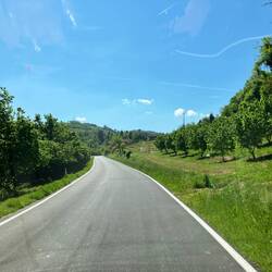 Nachem Abrechne (12 Fl. Wein, Stellplatz, Strom = €130.-) gaht's wiiter zum Poschte