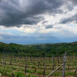 Chunnt ächt es Gwitter?