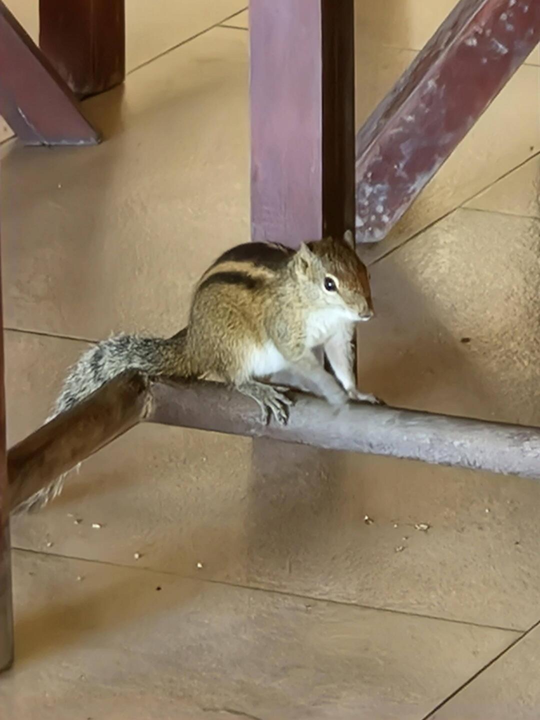 In the hotel restaurant this morning