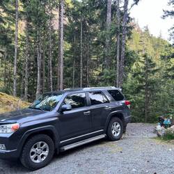 Am Camp angekommen, mitten im Wald