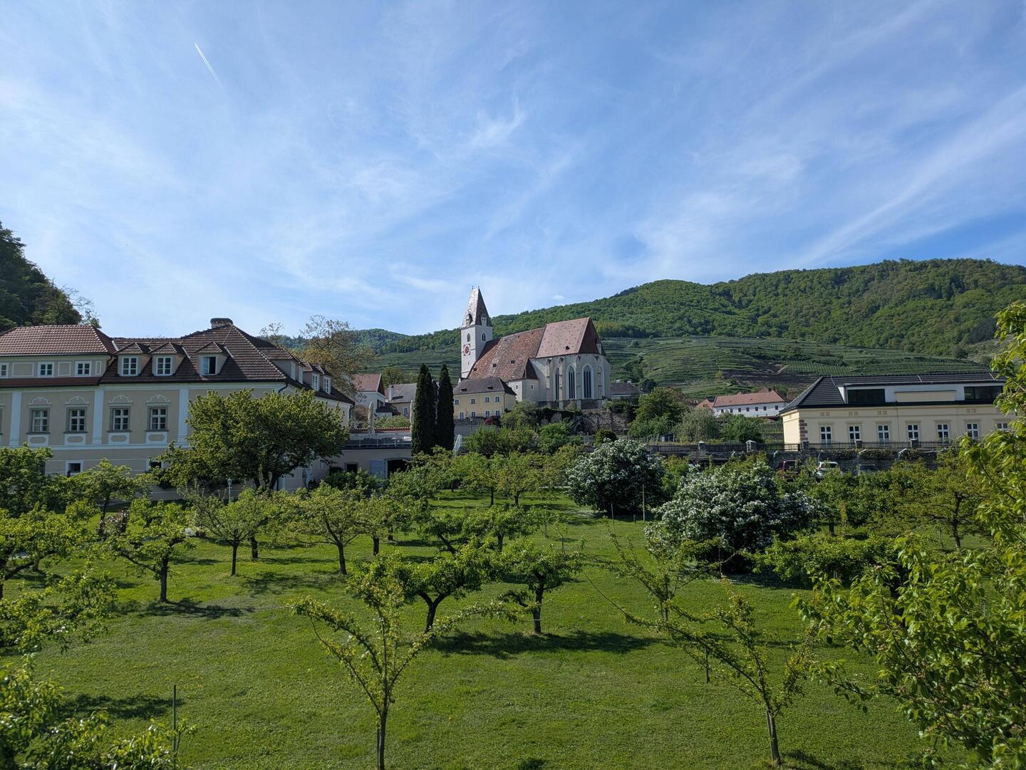 In Spitz an der Donau