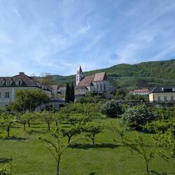 In Spitz an der Donau