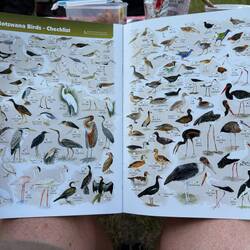 ...Fortbildung für Senioren. Große Bilder. Große Schrift. Abhaken reicht.