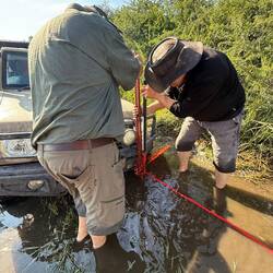 ...hatte ich auch noch nie. Mit einem Highlift (Wagenheber) wird das Fahrzeug angehoben...