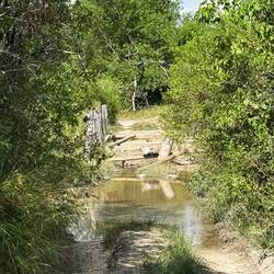 ...allen Wege führen nach Rom! Ausser in Moremi! Da führen sie in den Sumpf!