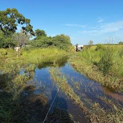 ..heute ging's gleich zum versenkten Toyota. Tolle Landschaft! Tolles Wetter! Tolle Aufgabe!