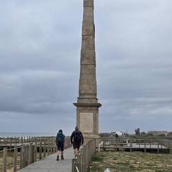 Along the boardwalk......