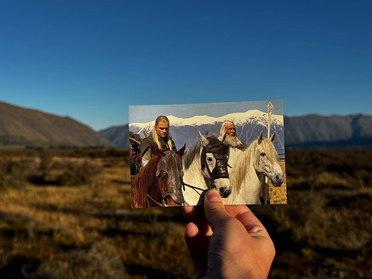 Die Ankunft in Rohan