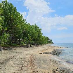 View looking up the beach.