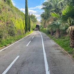 Rückfahrt auf der Pista Ciclabile
