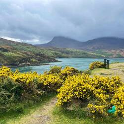 View from Kylesku bridge