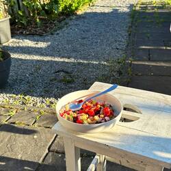 My go-to summer salad