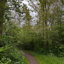 Walking to the south of Uithoorn