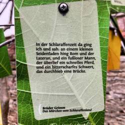 Das sind 130km Strada Romantica gsi👍🏼