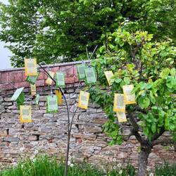 Beim Turm wieder ein Literaturbaum...