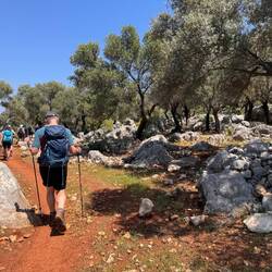 Einmal ohne Steine und Sträucher, eher selten