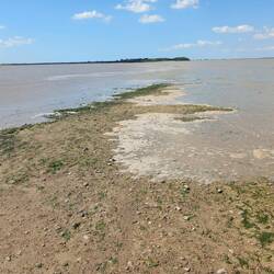 A la vitesse d'un cheval au galop... ou presque.