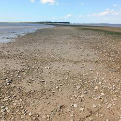 15 mn avant la fin du spectacle.