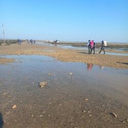 Les locaux à la pêche à pieds.