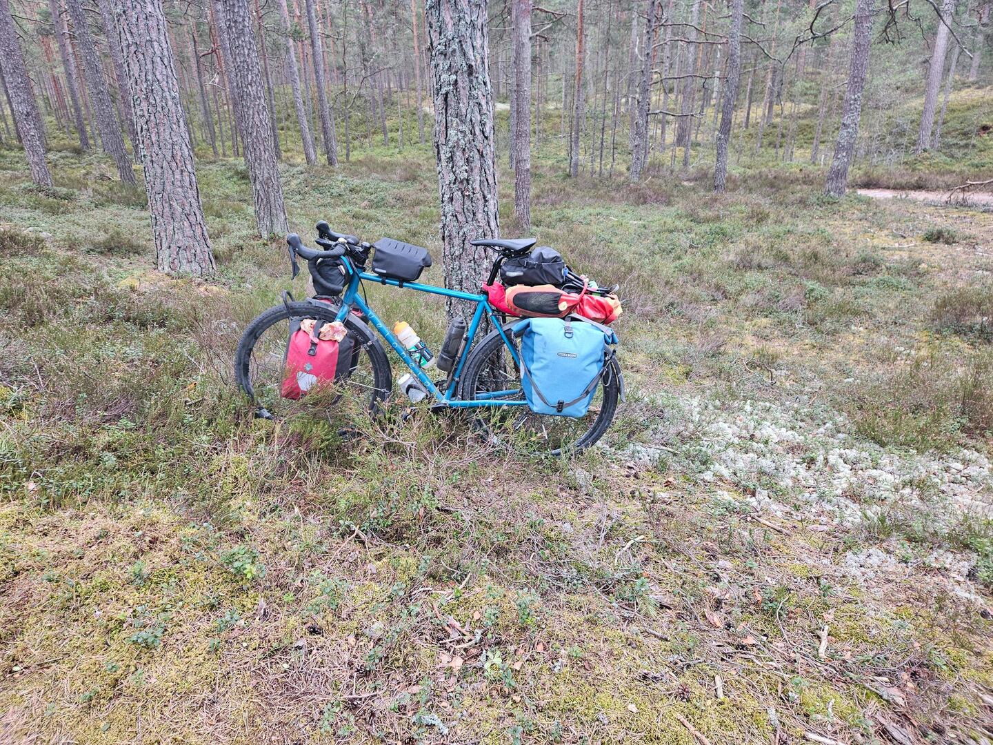 Nun geht es wieder auf den Drahtesel und zusammen verlassen wir den Wald.