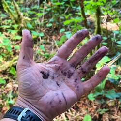 Wenn beim Kugelschreiber die Tinte ausläuft