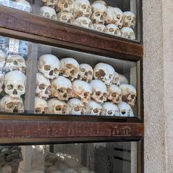 Jeder Schädel gebrochen. Hingerichtet durch Schlag