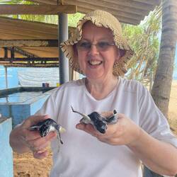 Held turtles 1st time 2hrs after starting the volunteering