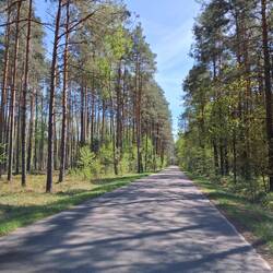 Aż nie chce się, żeby ta droga kończyła sie