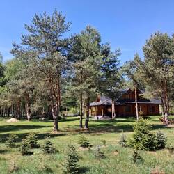 Piękny, drewniany domek pośród drzew