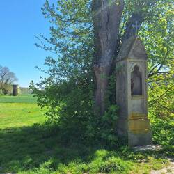 Blick auf Ruine der alten Wasserburg