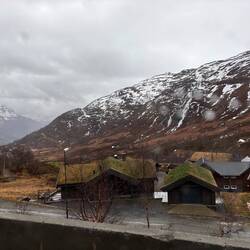 Prati sui tetti a Roldal