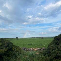 Ein Hauch von Regenbogen 🌈